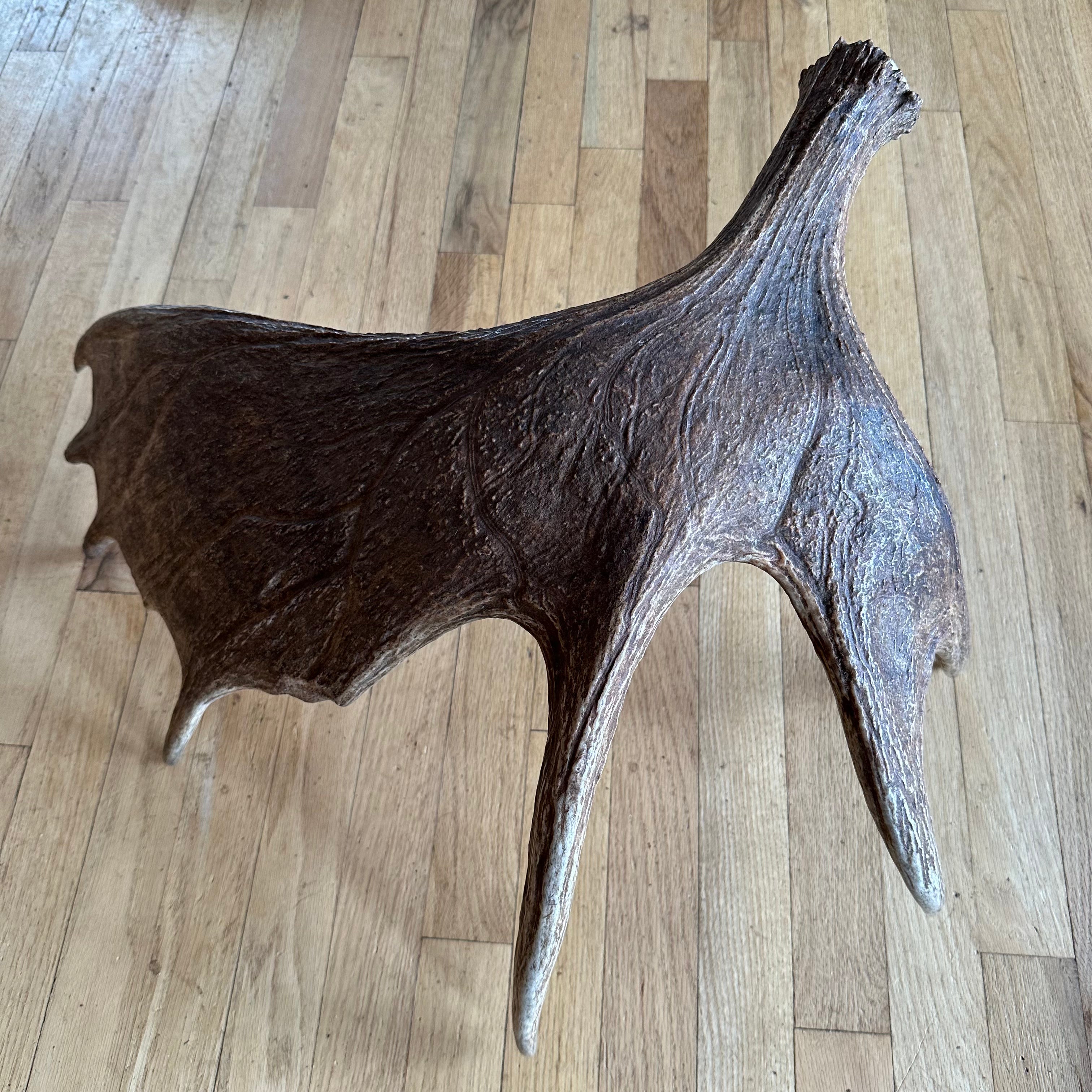Moose  Set