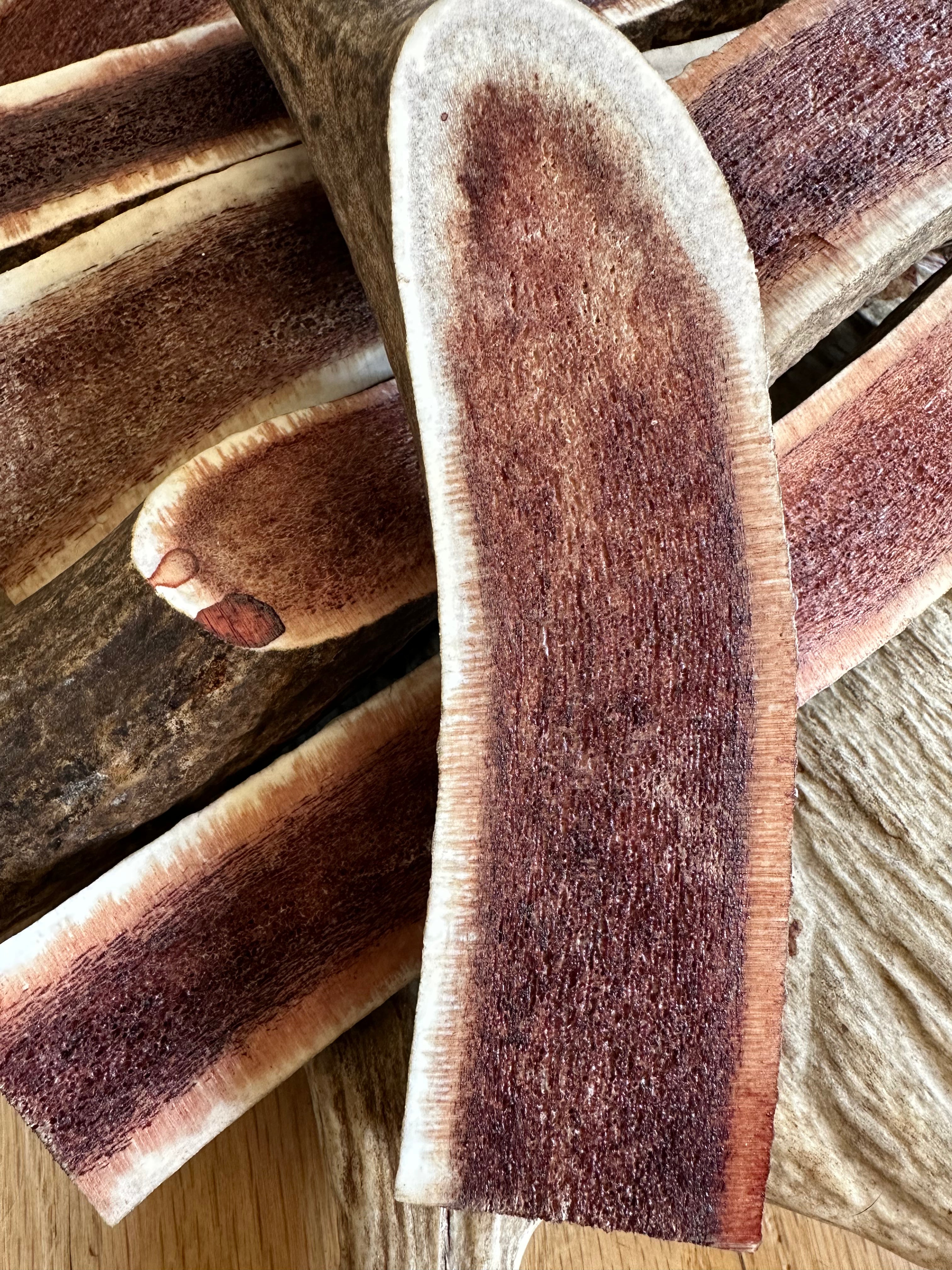 Dog Chews- Elk Antler