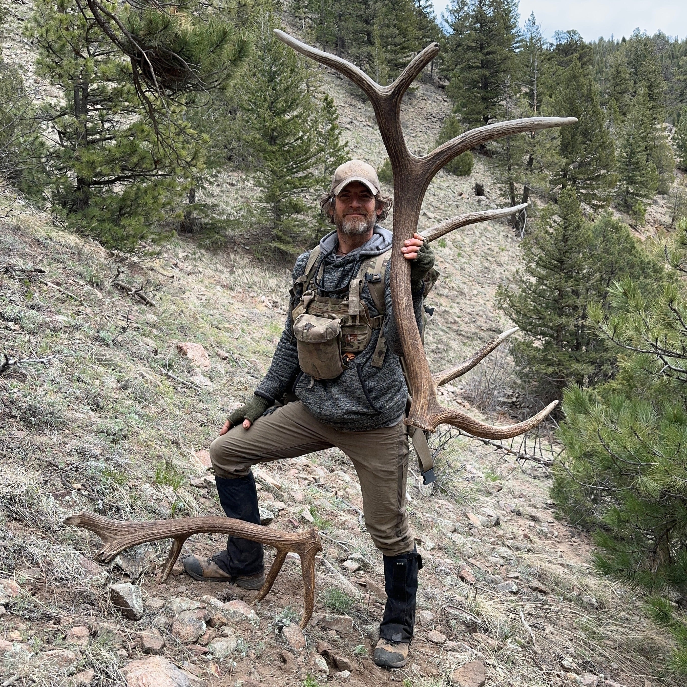 Single Elk Antlers - The Antler Rack